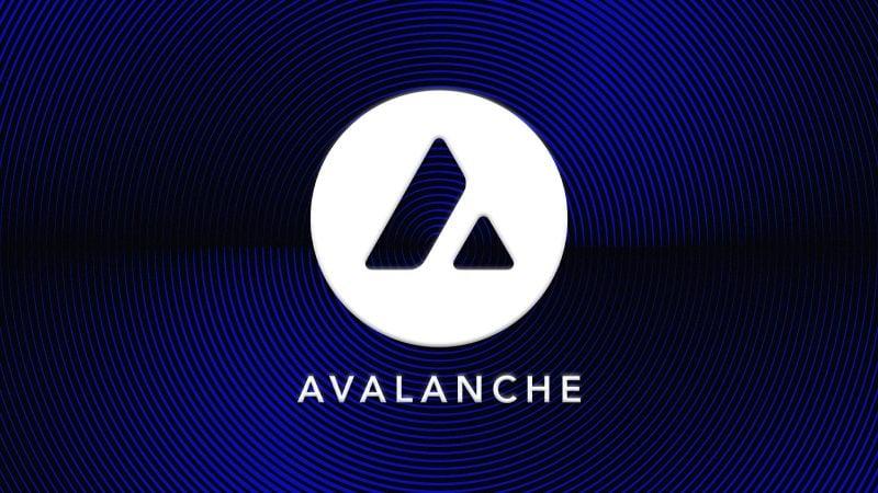 When a Treasury Bet Goes Wrong: What Avalanche's 73% Collapse Signals for Corporate Crypto Holders