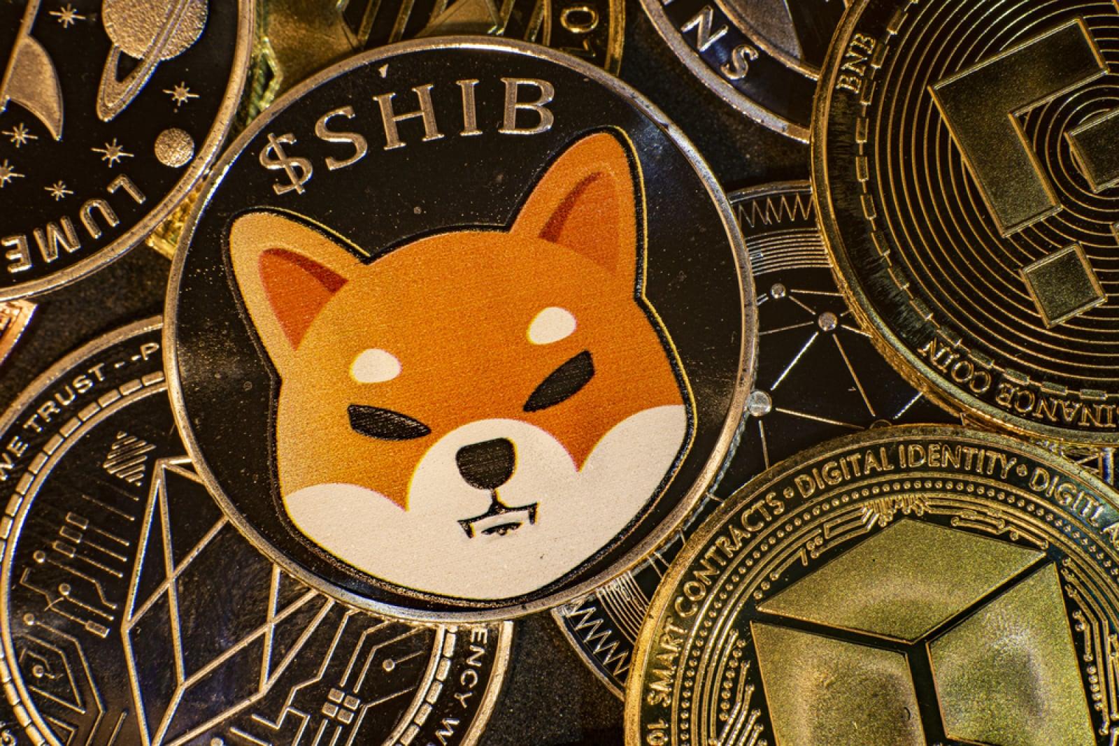 Nearly 500 Billion SHIB Floods Into Exchanges: What This Supply Shock Means for the Token